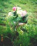 Mothers Day 2006 (in Gravesite)